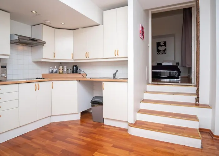 Old Town 2-bathroom With Sauna 公寓 塔林